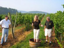 Virginia Wine Country