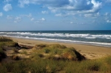 Where do I go from Here?